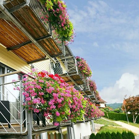 Hotel Waldblick Schenkenzell Kültér fotó